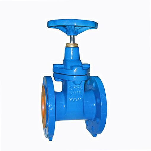 Resilient seated gate valve