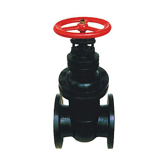 BS 5163 cast iron wedge gate valve