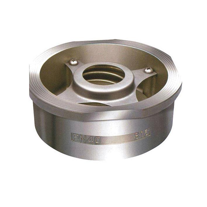 Disk check valve